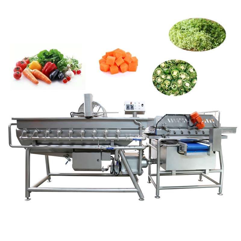 Fruits Vegetable Processing Machine